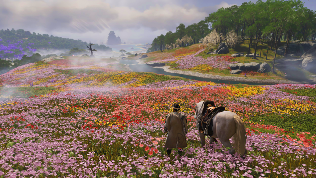 campo de flores